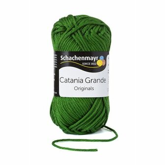 Schachenmayr 9807331 Catania Grande 63 meter  50 gram - Kleur 3392
