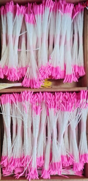 Meeldraden roze lelie